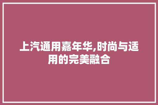上汽通用嘉年华,时尚与适用的完美融合