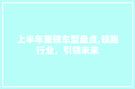 上半年重磅车型盘点,领跑行业，引领未来