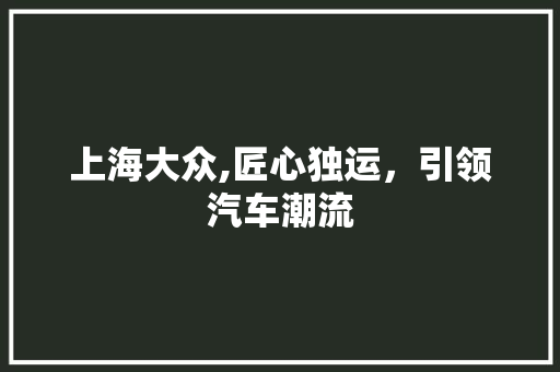 上海大众,匠心独运，引领汽车潮流