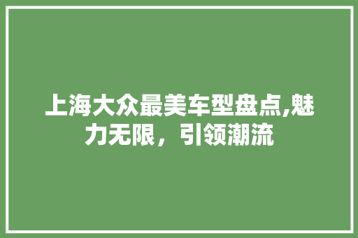上海大众最美车型盘点,魅力无限，引领潮流