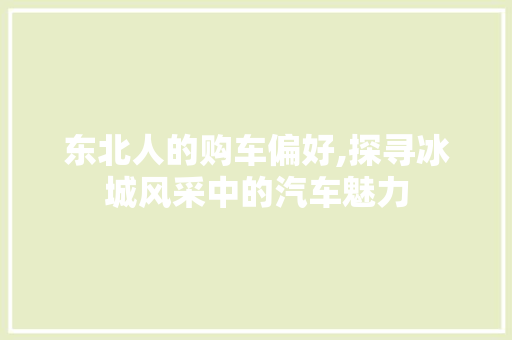 东北人的购车偏好,探寻冰城风采中的汽车魅力