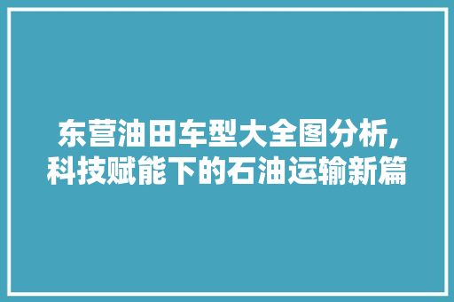 东营油田车型大全图分析,科技赋能下的石油运输新篇章