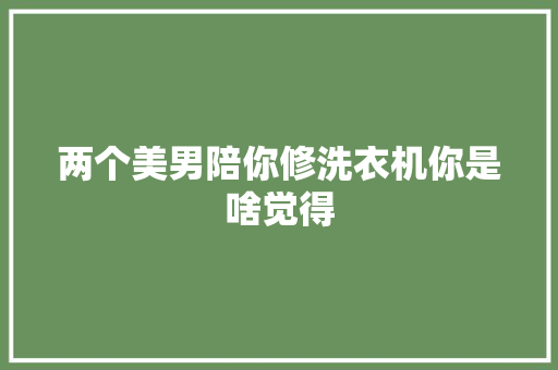 两个美男陪你修洗衣机你是啥觉得