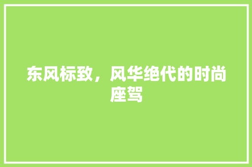 东风标致，风华绝代的时尚座驾 汽车知识