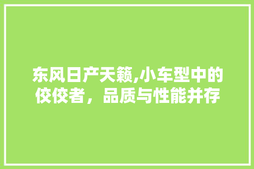 东风日产天籁,小车型中的佼佼者，品质与性能并存