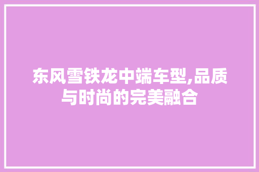 东风雪铁龙中端车型,品质与时尚的完美融合 知识百科