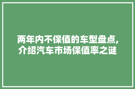 两年内不保值的车型盘点,介绍汽车市场保值率之谜