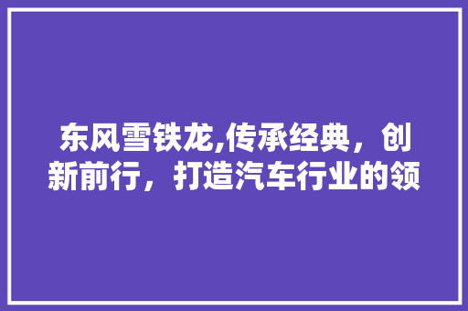 东风雪铁龙,传承经典，创新前行，打造汽车行业的领军品牌 生活常识