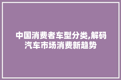 中国消费者车型分类,解码汽车市场消费新趋势