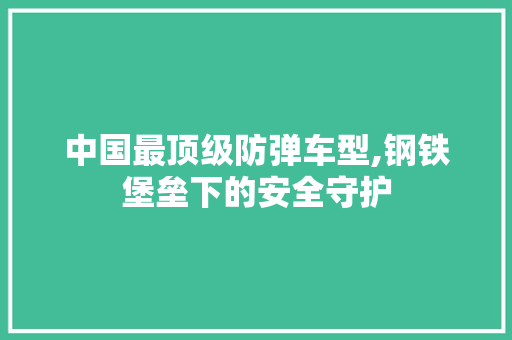 中国最顶级防弹车型,钢铁堡垒下的安全守护