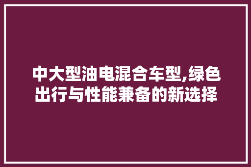 中大型油电混合车型,绿色出行与性能兼备的新选择 奇闻故事