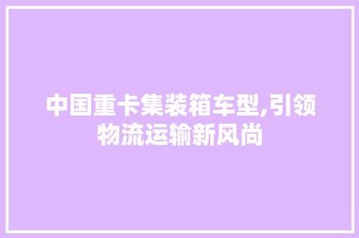中国重卡集装箱车型,引领物流运输新风尚