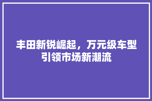 丰田新锐崛起，万元级车型引领市场新潮流