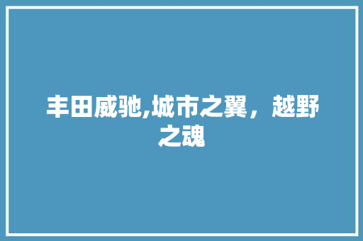 丰田威驰,城市之翼，越野之魂 综合知识