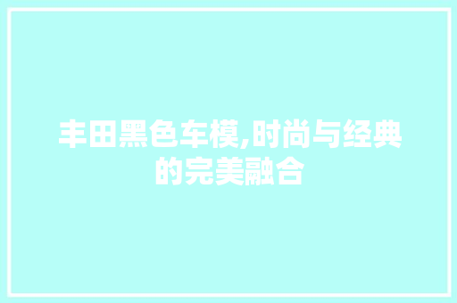 丰田黑色车模,时尚与经典的完美融合