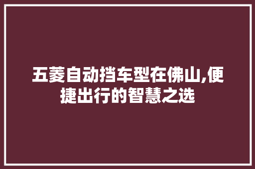 五菱自动挡车型在佛山,便捷出行的智慧之选