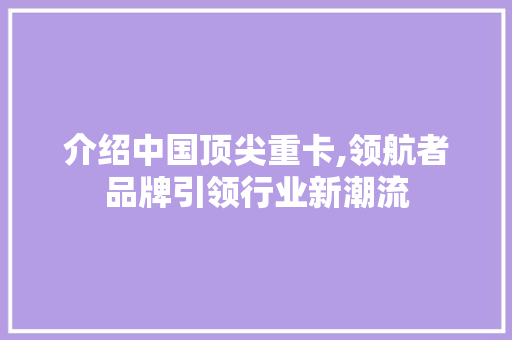 介绍中国顶尖重卡,领航者品牌引领行业新潮流