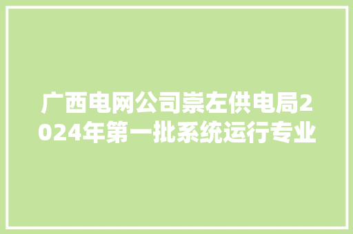 广西电网公司崇左供电局2024年第一批系统运行专业9个项目中标结果公布