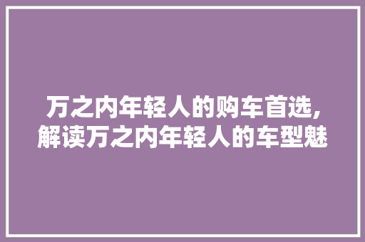 万之内年轻人的购车首选,解读万之内年轻人的车型魅力