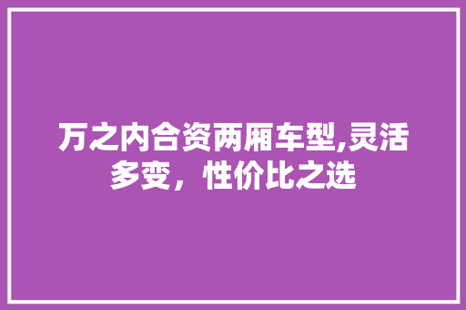 万之内合资两厢车型,灵活多变，性价比之选 汽车知识