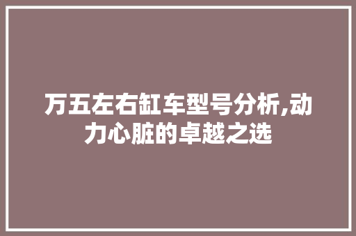万五左右缸车型号分析,动力心脏的卓越之选