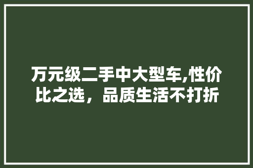 万元级二手中大型车,性价比之选，品质生活不打折
