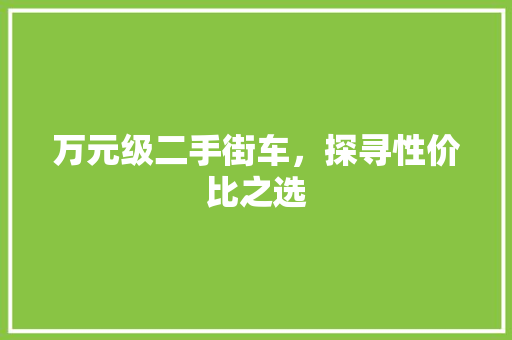 万元级二手街车，探寻性价比之选