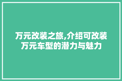 万元改装之旅,介绍可改装万元车型的潜力与魅力