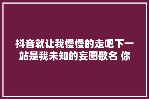 抖音就让我慢慢的走吧下一站是我未知的妄图歌名 你走吧歌词
