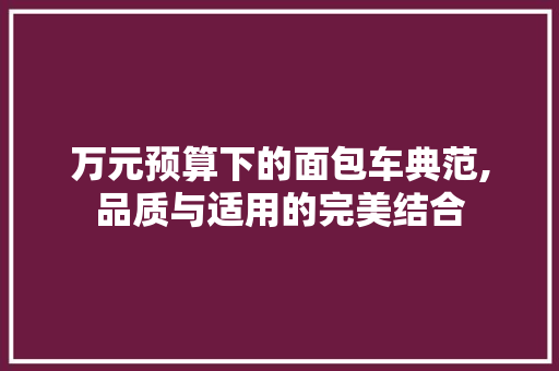 万元预算下的面包车典范,品质与适用的完美结合 汽车知识