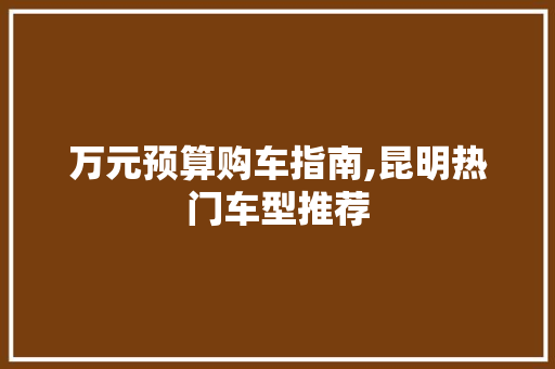 万元预算购车指南,昆明热门车型推荐