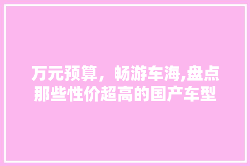 万元预算，畅游车海,盘点那些性价超高的国产车型 汽车知识