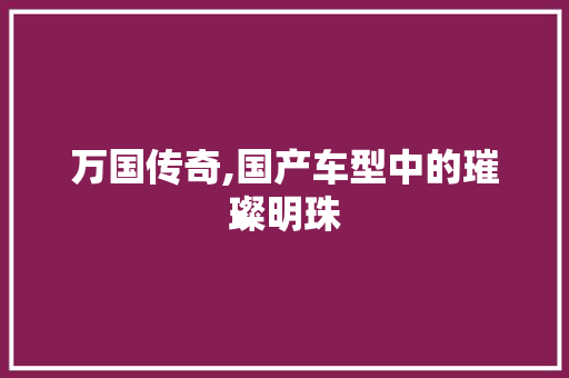 万国传奇,国产车型中的璀璨明珠