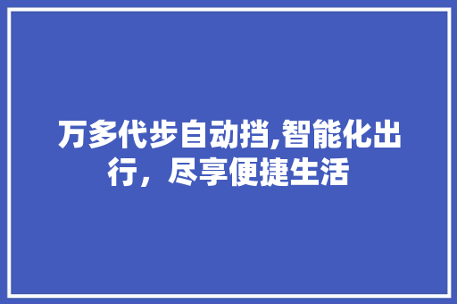 万多代步自动挡,智能化出行，尽享便捷生活