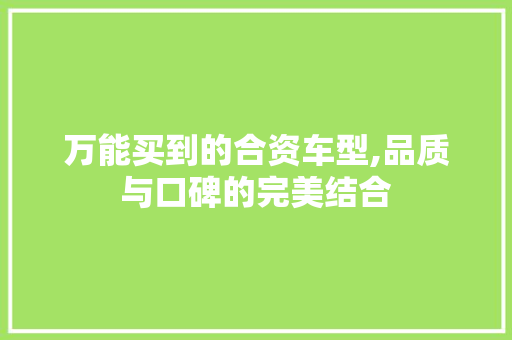 万能买到的合资车型,品质与口碑的完美结合