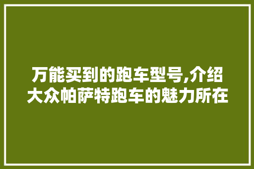 万能买到的跑车型号,介绍大众帕萨特跑车的魅力所在