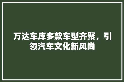 万达车库多款车型齐聚，引领汽车文化新风尚
