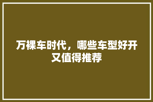 万裸车时代，哪些车型好开又值得推荐