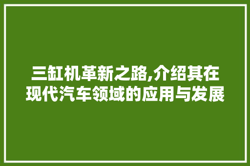 三缸机革新之路,介绍其在现代汽车领域的应用与发展