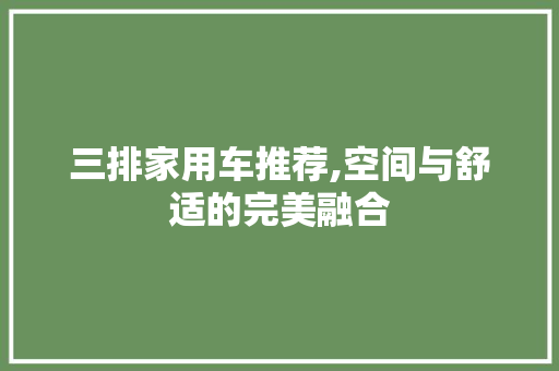 三排家用车推荐,空间与舒适的完美融合 汽车知识