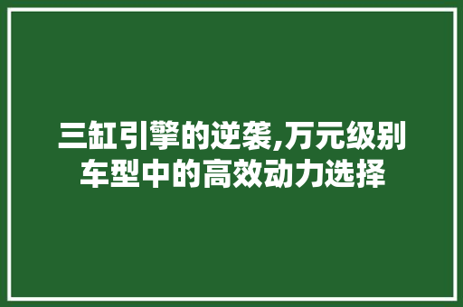 三缸引擎的逆袭,万元级别车型中的高效动力选择