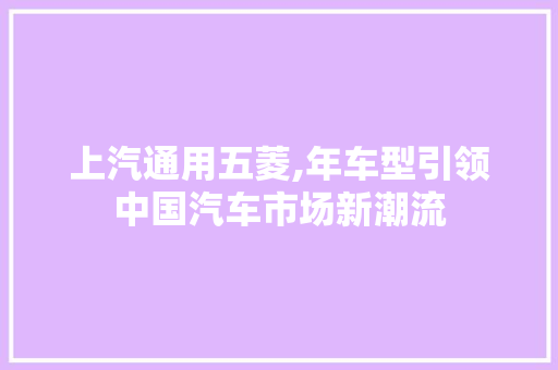 上汽通用五菱,年车型引领中国汽车市场新潮流