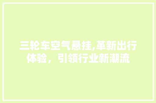 三轮车空气悬挂,革新出行体验，引领行业新潮流 汽车知识