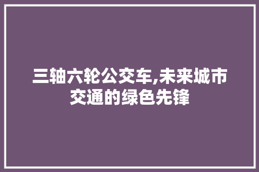 三轴六轮公交车,未来城市交通的绿色先锋