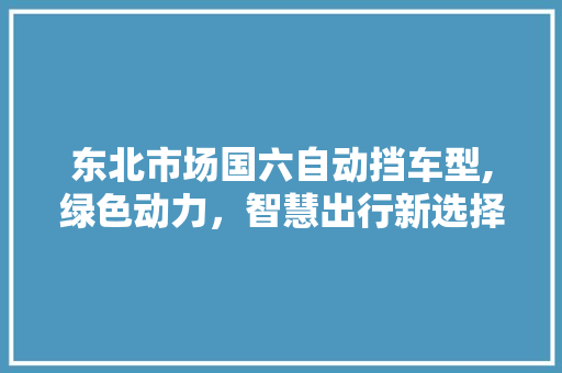 东北市场国六自动挡车型,绿色动力，智慧出行新选择 汽车知识