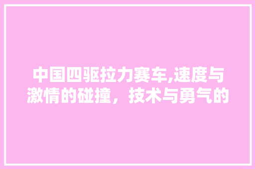 中国四驱拉力赛车,速度与激情的碰撞，技术与勇气的较量