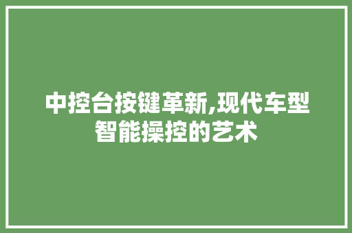 中控台按键革新,现代车型智能操控的艺术 汽车知识