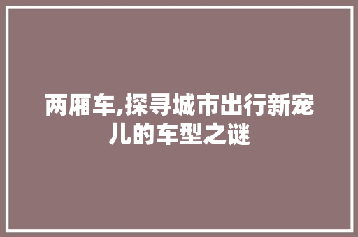 两厢车,探寻城市出行新宠儿的车型之谜