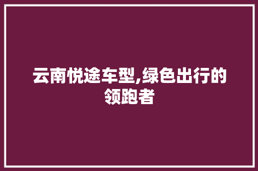 云南悦途车型,绿色出行的领跑者