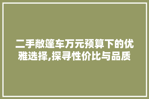 二手敞篷车万元预算下的优雅选择,探寻性价比与品质的完美平衡